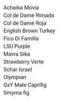 Screenshot_2025-03-31_172040.jpg Screenshot_2025-03-31_172040.jpg