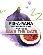 figarama 2025 save the date.jpg
