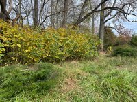 IMG_7739.jpeg IMG_7739.jpeg