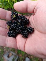 1000006538.jpg 1000006538.jpg