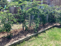 IMG_2321.png IMG_2321.png