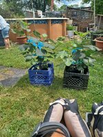 20250502_122108.jpg