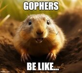 gopher1.jpg