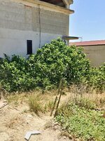 IMG_7754.jpeg