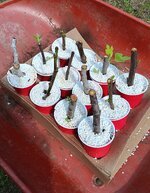 20250505_103758.jpg 20250505_103758.jpg