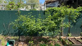 IMG_2908.jpeg
