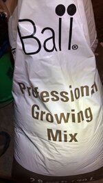 IMG_7466.jpeg