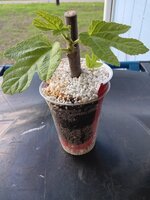 20250508_184927.jpg 20250508_184927.jpg