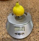 IMG_4935.jpeg