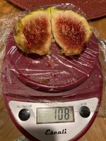 IMG_1861.jpeg