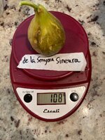 IMG_1860.jpeg