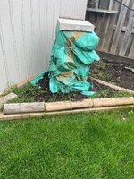 IMG_3500.jpeg