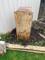 IMG_3501.jpeg