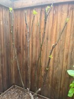 IMG_3664.jpeg