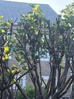 IMG_7406.jpeg
