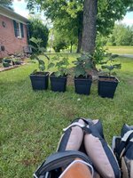 20250517_112819.jpg