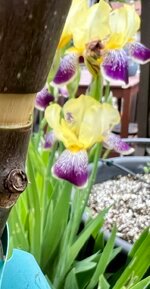 IMG_9320.jpg