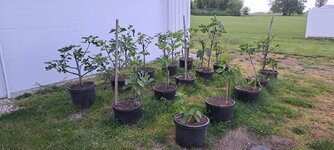 20250519_203818.jpg