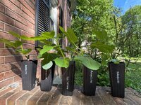 IMG_4587.jpeg IMG_4587.jpeg