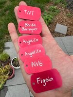 IMG_4411.jpeg IMG_4411.jpeg