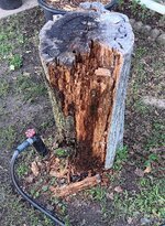 1000007702.jpg 1000007702.jpg