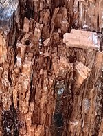 1000007703.jpg 1000007703.jpg