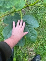 IMG_5813.jpeg