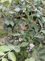 20250524_095629.jpg