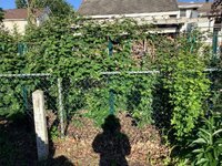 IMG_2493.jpeg