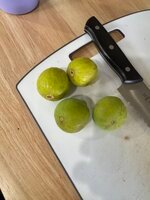 IMG_8681.jpeg