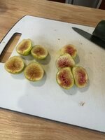 IMG_8684.jpeg