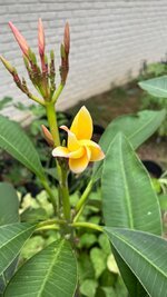 IMG_3906.jpeg