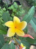 IMG_3922.jpeg