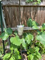 IMG_3924.jpeg