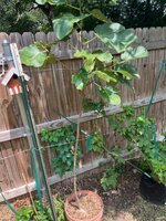 IMG_3925.jpeg