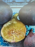 IMG_7770.jpeg
