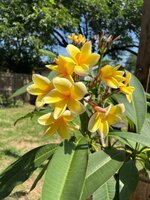IMG_3989.jpeg