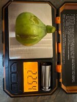IMG_8075.jpeg