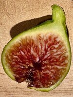 IMG_8077.jpeg