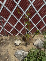 IMG_3361.jpeg