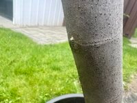 IMG_4398.jpeg