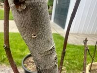 IMG_4400.jpeg