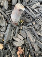 IMG_2423.jpeg