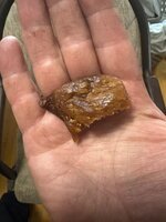 IMG_7856.jpeg