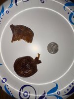 IMG_7857.jpeg