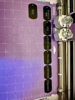 IMG_8094.jpeg