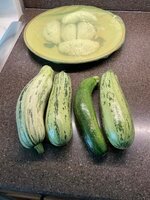 IMG_2452.jpeg
