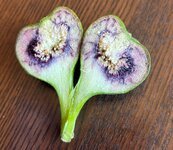 Tree #2, cut fig.JPG