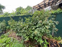 IMG_3430.jpeg