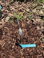 Field graft_06142025_Jerrys.jpg